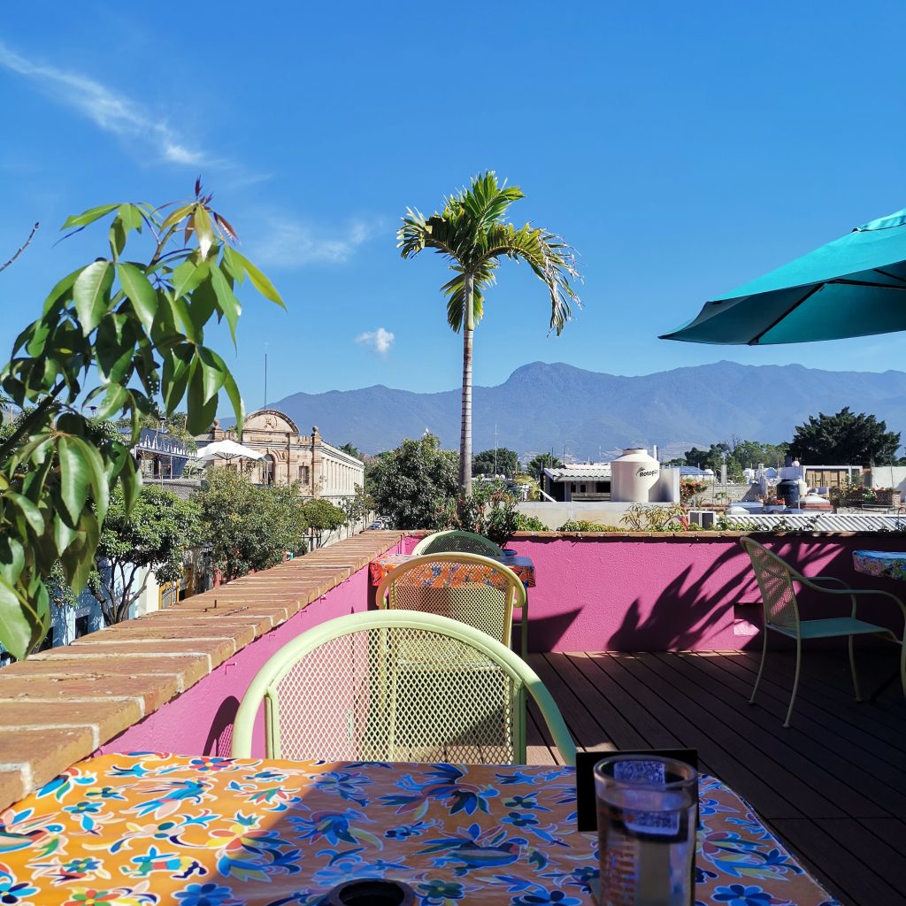 pink and blue sunny rooftop terrace with palm trees and mountains in Oaxaca Mexico