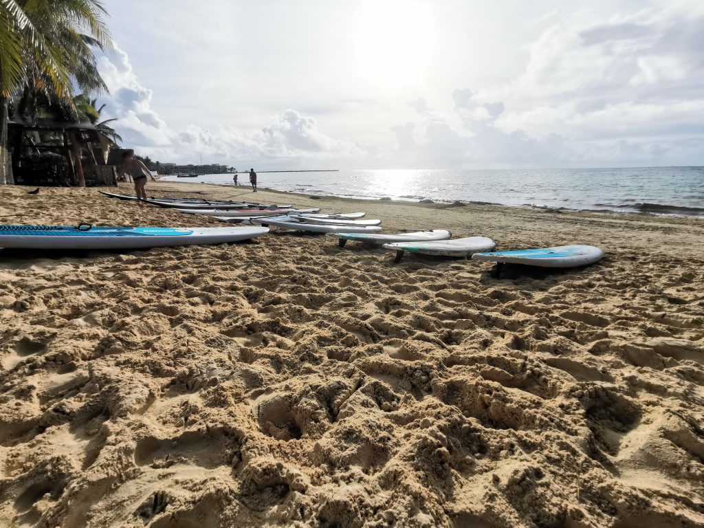 Paddleboarding club in Playa del Carmen Mexico for tourists, travelers, and locals
